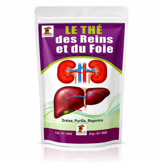 Thé Détox Rein et Foie